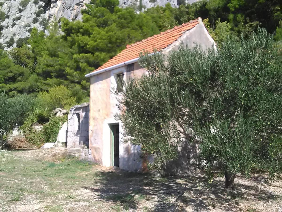 Zorana Apartman Mimice Kültér fotó