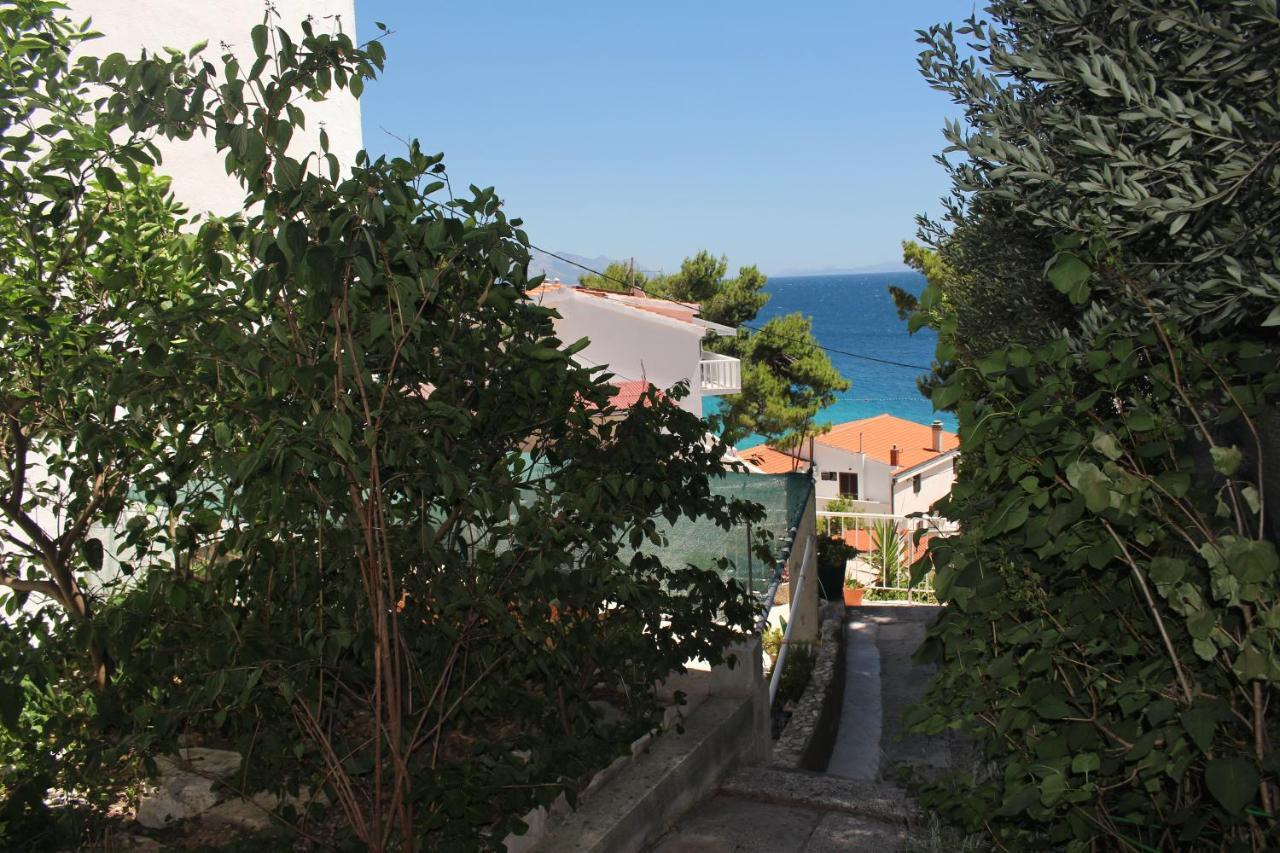 Zorana Apartman Mimice Kültér fotó
